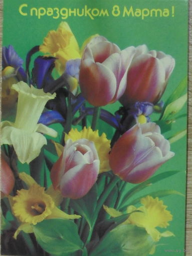ЧИСТАЯ ОТКРЫТКА СССР.  "С ПРАЗДНИКОМ 8 МАРТА". ФОТО. П. КОСТЕНКО. 1988 год.