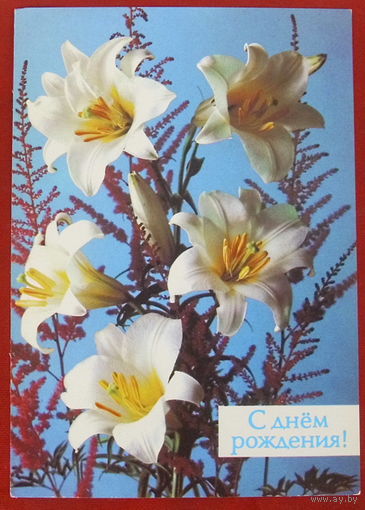 С Днём Рождения! Чистая.1988 года. Костенко. *305.