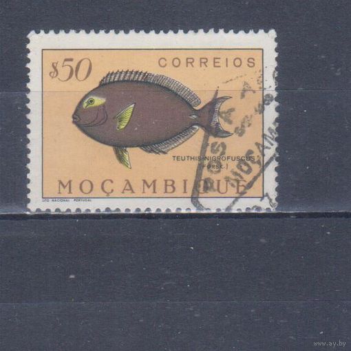 [1123] Португальский Мозамбик 1951. Фауна.Рыба.0,50 э. Гашеная марка.