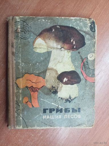 "Грибы наших лесов"