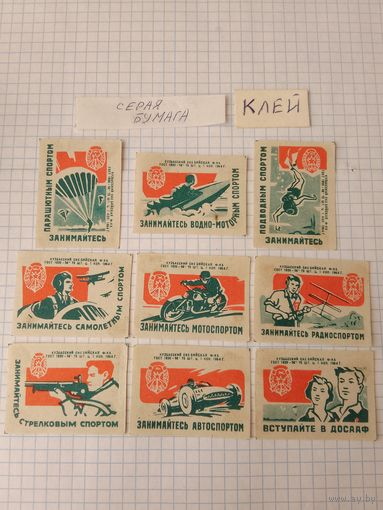 Спичечные этикетки ф.Бийск. ДОСААФ. 1964 год