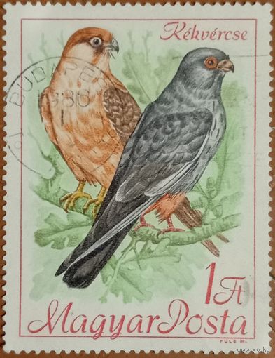 Венгрия 1986. Фауна. Птицы. Марка из серии