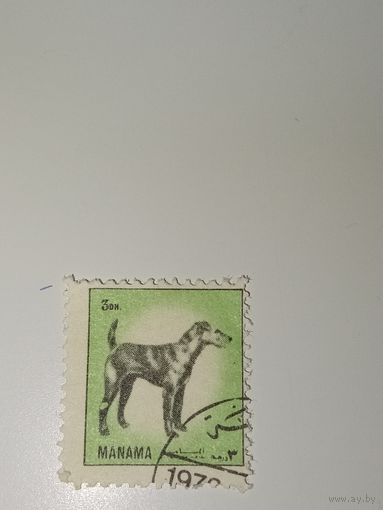 Манама. Фауна. 1972г.