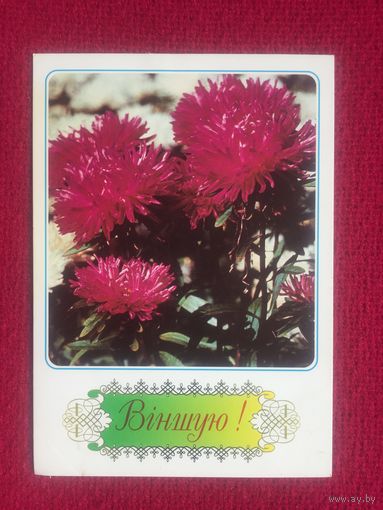Поздравляю! 1996 г. РБ
