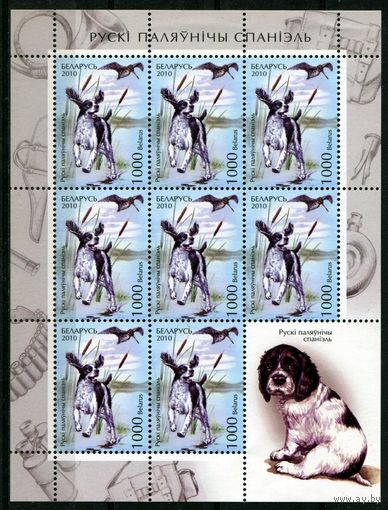 Беларусь 2010 #854. Лист Русский охотничий спаниель (8000 руб)