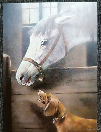 Собака и лошадь. Открытка