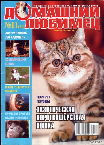 Домашний любимец #21