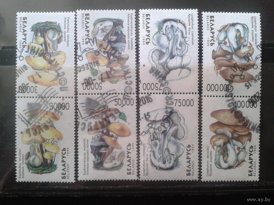 1999 Грибы, тет-беш