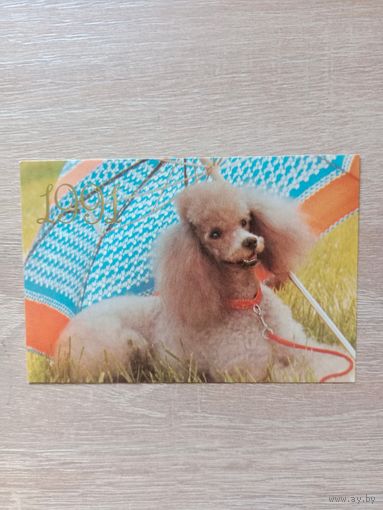 Календарик 1991