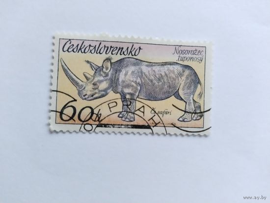 ЧССР  1976  носорог
