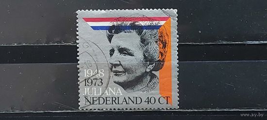 РАСПРОДАЖА НИДЕРЛАНДЫ 1973г. Полная серия. Гаш.