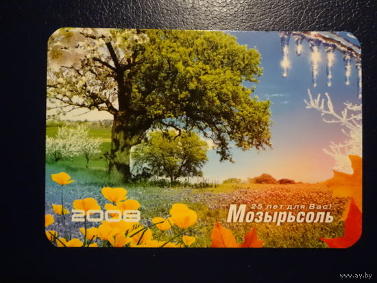 Календарик 2008 г.  Мозырьсоль. 25 лет для Вас!