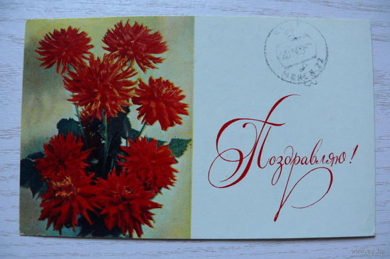 Игнатович Е., Поздравляю! 1968, подписана.