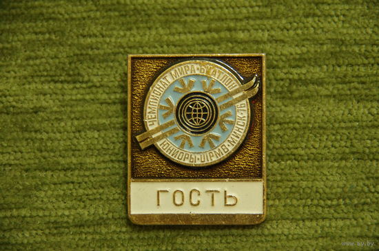 Знак " Гость "