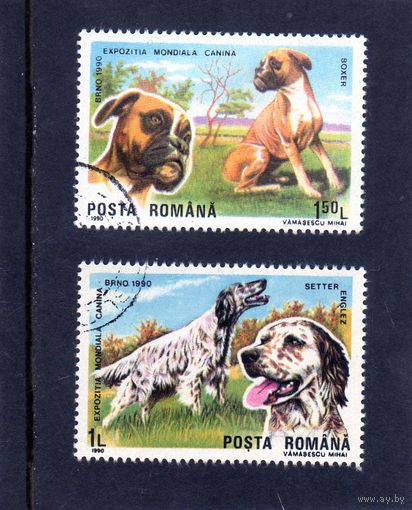 Румыния.Ми-4604,4605.Английский сеттер. Германский боксер.Выставка собак.Брно.1990.