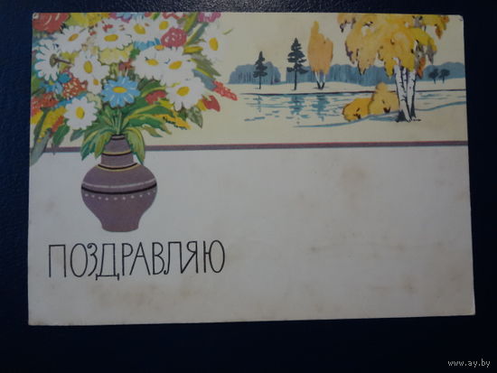 Поздравляю.  Букет в вазе, природа.  1962 г.