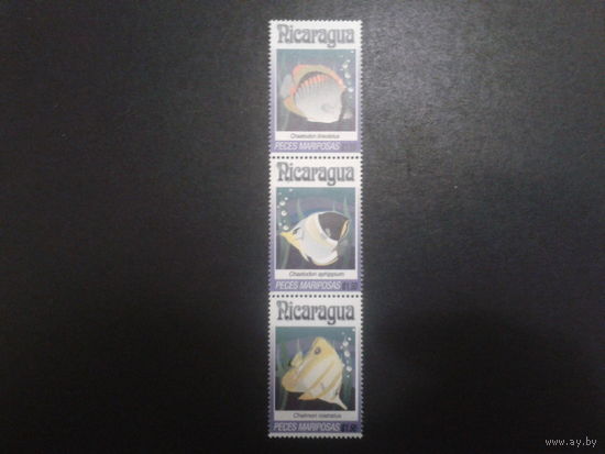 Никарагуа 1993 рыбы, сцепка