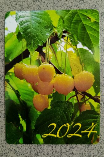 Календарик карманный 2024 черешня флора
