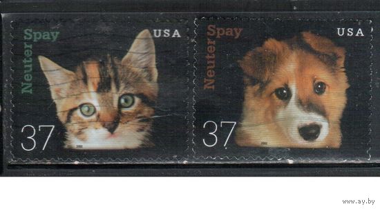 США-2002 (Мих.3644-3645) , гаш., Фауна, Кошки, Собаки (полная серия)(2)