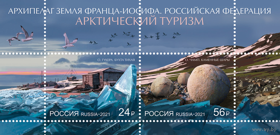Россия 2021 2843-2844. Арктическая зона Российской Федерации. Туризм Птицы**