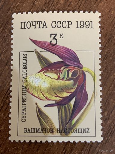 СССР 1991. Цветы. Башмачок настоящий. Марка из серии