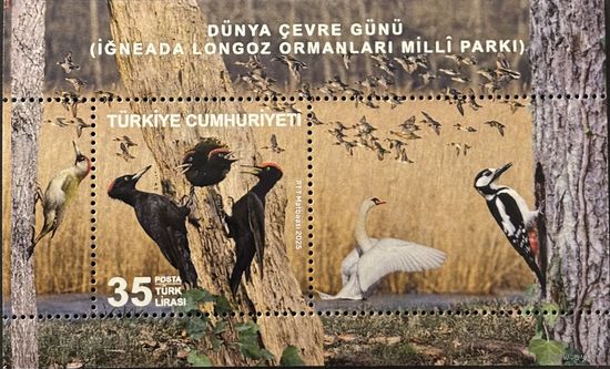 Марки Турция 2025 фауна Дятел Утки Лебеди блок MNH