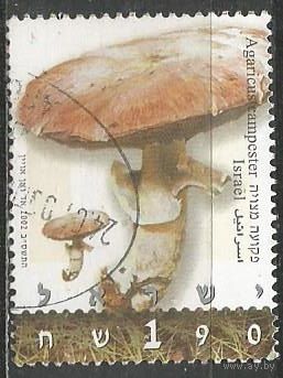 Израиль. Грибы. Шампиньон обычный. 2002г. Mi#1675.