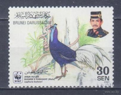 [106] Бруней 2001. Фауна.Птицы.Фазан (самец). Гашеная марка.