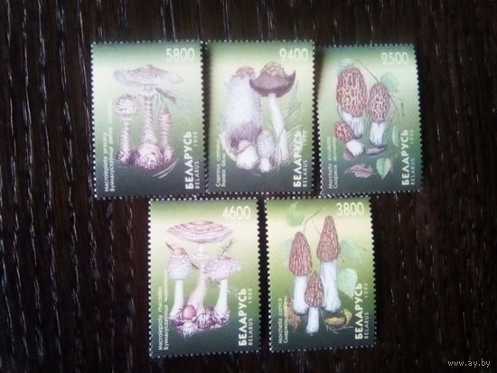 Беларусь 1998 серия грибы