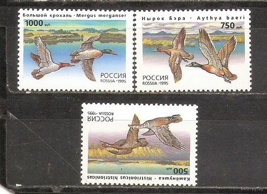 ФФ1 Россия 1995 Утки