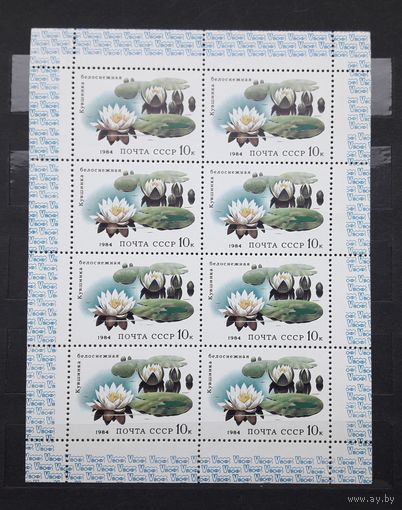 СССР 1984г. Малый лист. Кувшинка белоснежная. **. Сол.5504.