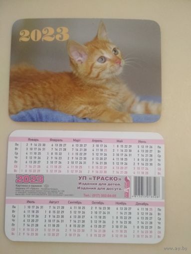 Карманный календарик . Котик. 2023 год