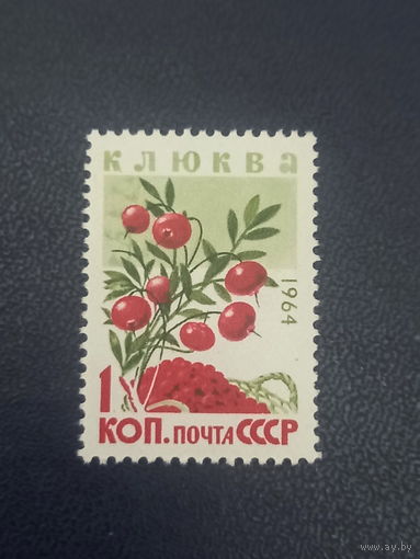 СССР 1964 г. Клюква