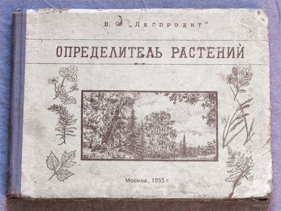 Определитель растений. Фотолитография 1954г.