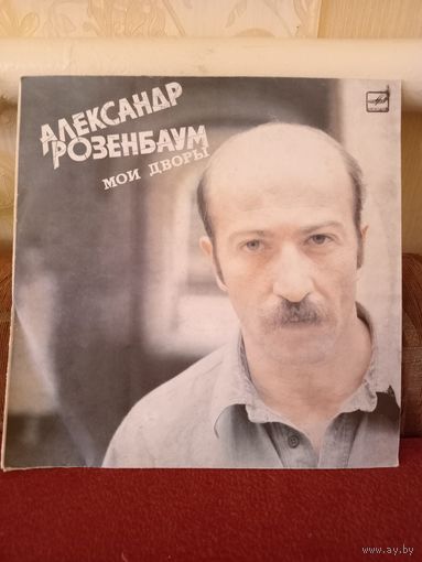 Виниловая пластинка