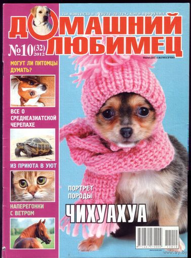 Домашний любимец #32