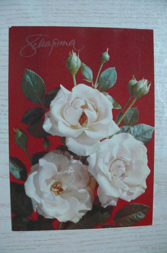Дергилев И., 8 Марта, 1990, чистая; провизорий Беларусь, 2 руб.
