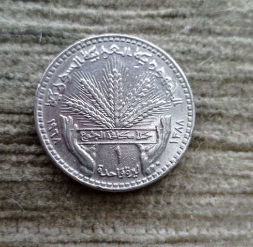 Werty71 Сирия 1 фунт 1968 ФАО Syria лира