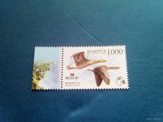 Беларусь 2009 гусь