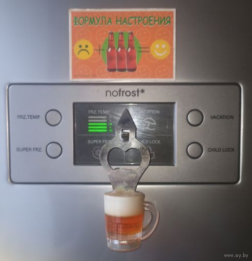 Два магнитика на холодильник, одним лотом