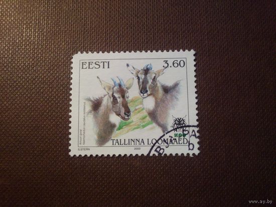 Эстония 2000 г.Таллинский зоопарк. Горал.