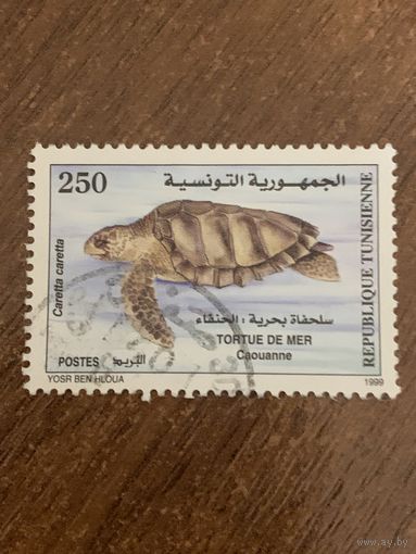 Тунис 1999. Черепаха. Caretta caretta. Марка из серии