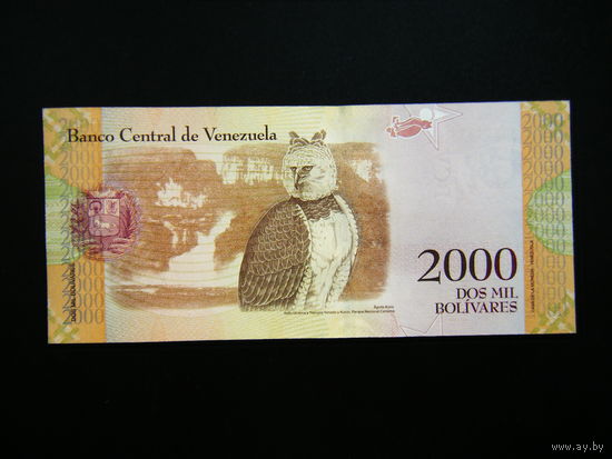 Венесуэла 2000 ВОЛИВАРОВ  2016г. UNC.