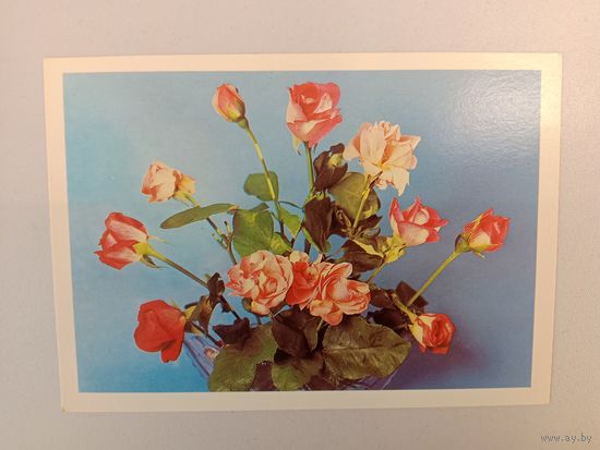 Открытка,1983
