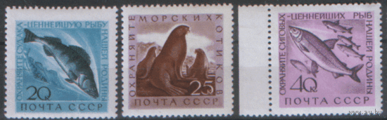 Заг. 2382\84. 1960. Фауна СССР. ЧиСт.