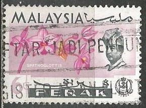 Малайские штаты(Перак). Цветы. Орхидея Спатоглоттис. 1965г. Mi#118..