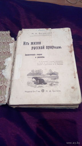 Из жизни русской природы М.Н.Богданов