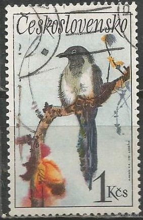 Чехословакия. Сорока. 1972г. Mi#2112.