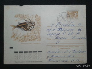 1971 Карнегиелла, аквариумная прошло почту
