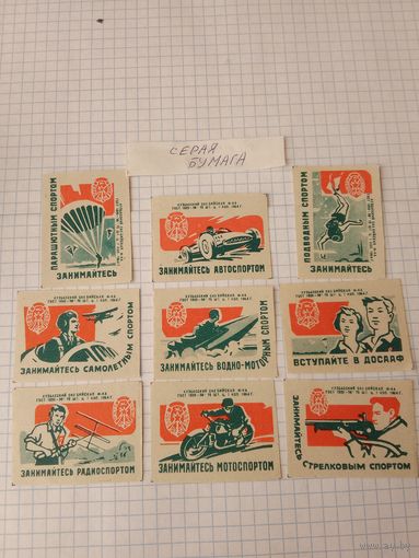 Спичечные этикетки ф.Бийск. ДОСААФ. 1964 год